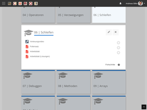 Ausschnitt aus Moodle zur Einheit Schleifen